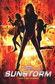 Sunstorm 2001 one on netflix