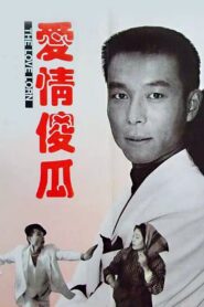爱情傻瓜 1993 one on netflix