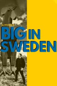 Al Pitcher – Big in Sweden 2019 one on netflix