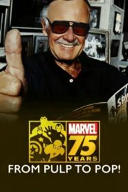 Marvel: 75 Years, from Pulp to Pop! 2014 one on netflix