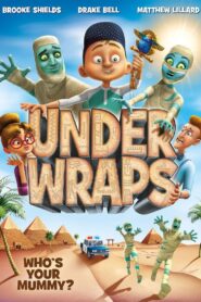 Under Wraps 2014 one on netflix
