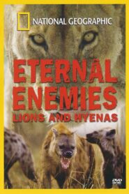 Eternal Enemies: Lions and Hyenas 1992 one on netflix