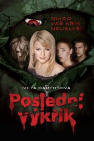 Poslední výkřik 2012 one on netflix