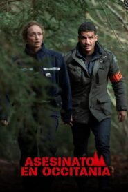 Les Bois assassins 2024 one on netflix