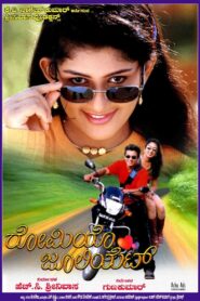 Romeo Juliet 2002 one on netflix