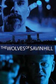 The Wolves of Savin Hill 2014 one on netflix
