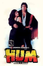 Hum 1991 one on netflix