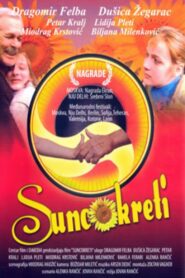 Sunflowers 1988 one on netflix