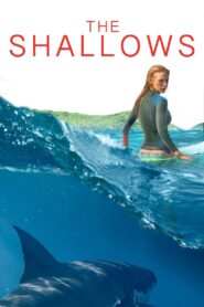 The Shallows 2016 one on netflix