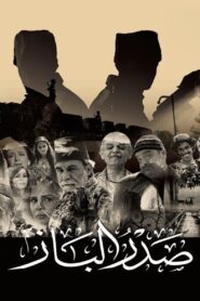 صدر الباز 2016 one on netflix