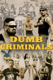Dumb Criminals: The Movie 2015 one on netflix