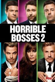 Horrible Bosses 2 2014 one on netflix