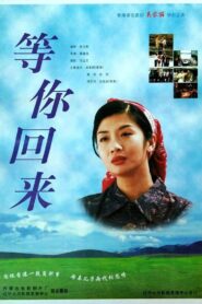 Wait For Your Coming Back 1997 one on netflix