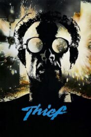 Thief 1981 one on netflix