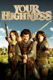Your Highness 2011 one on netflix