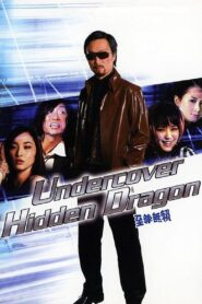 Undercover Hidden Dragon 2006 one on netflix