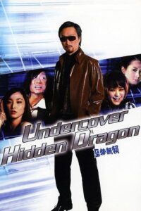 Undercover Hidden Dragon 2006 one on netflix