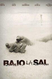 Under the Salt 2008 one on netflix