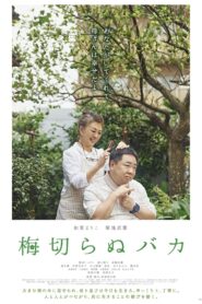 The Lone Ume Tree 2021 one on netflix