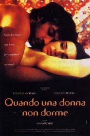 When a Man Loves a Woman 2000 one on netflix