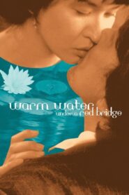 Warm Water Under a Red Bridge 2001 one on netflix