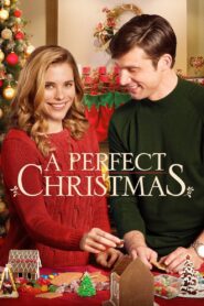 A Perfect Christmas 2016 one on netflix