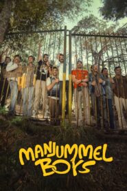 Manjummel Boys 2024 one on netflix