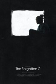 The Forgotten C 2020 one on netflix