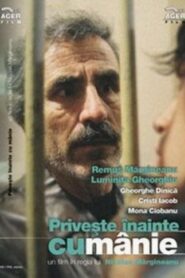 Look Ahead with Anger 1993 one on netflix