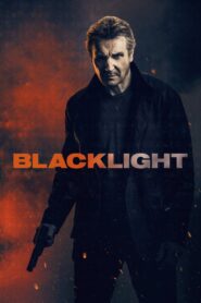 Blacklight 2022 one on netflix