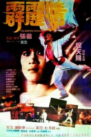 The Dancing Warrior 1985 one on netflix