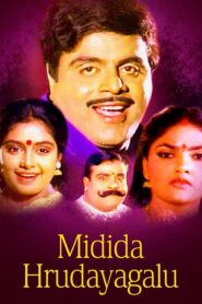 Midida Hrudayagalu 1993 one on netflix
