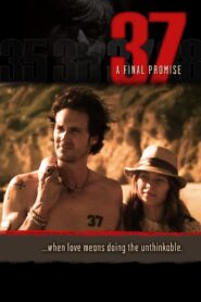37 2014 one on netflix