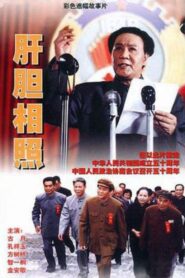 肝胆相照 1999 one on netflix