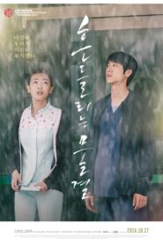 Blossom 2016 one on netflix
