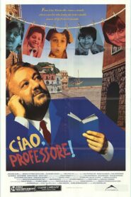 Ciao, Professore! 1992 one on netflix