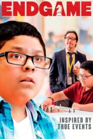 Endgame 2015 one on netflix