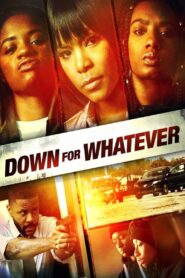 Down for Whatever 2018 one on netflix
