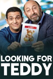 Looking for Teddy 2018 one on netflix
