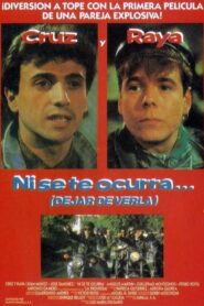 Ni se te ocurra… (dejar de verla) 1991 one on netflix
