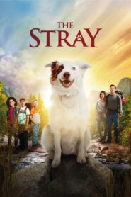 The Stray 2017 one on netflix
