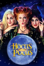 Hocus Pocus 1993 one on netflix