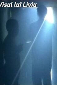 Liviu’s Dream 2004 one on netflix