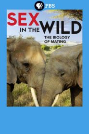 Sex In the Wild 2014 one on netflix