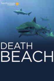 Death Beach 2012 one on netflix