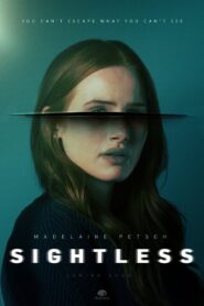 Sightless 2020 one on netflix