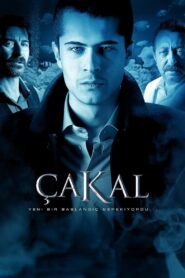 Çakal 2010 one on netflix
