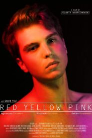 Red Yellow Pink 2020 one on netflix