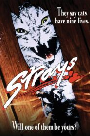 Strays 1991 one on netflix