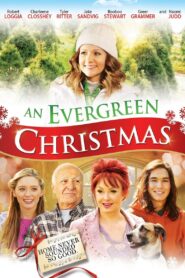 An Evergreen Christmas 2014 one on netflix